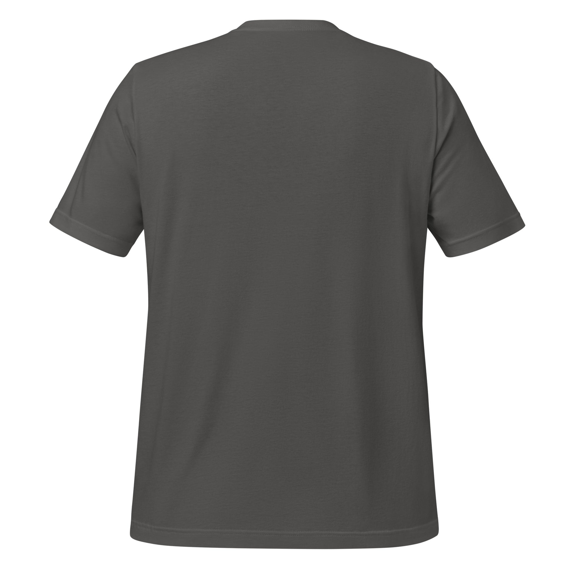 Back view of asphalt t-shirt with no design.